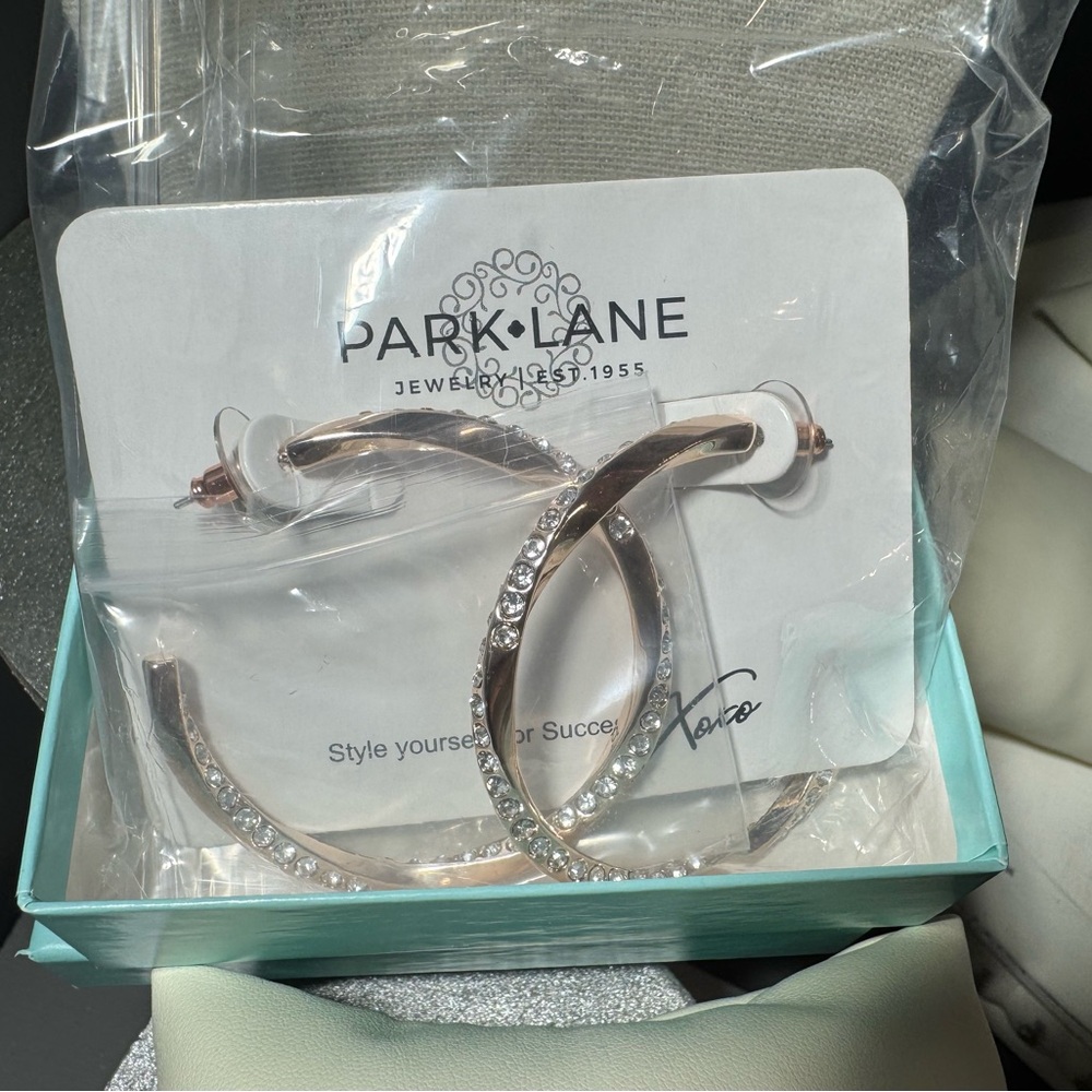 Park Lane Glisten Earrings Retired!!
